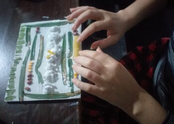 Pacientes de salud mental realizaron actividades recordatorias al Día de la Bandera
