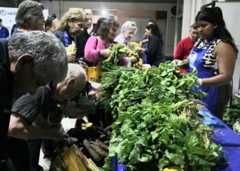 Destacan los buenos precios de las ferias paipperas