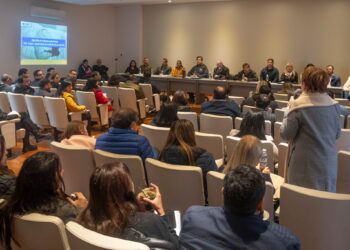 Desde REFSA explicaron la composición de la tarifa eléctrica tras las nuevas disposiciones de Nación