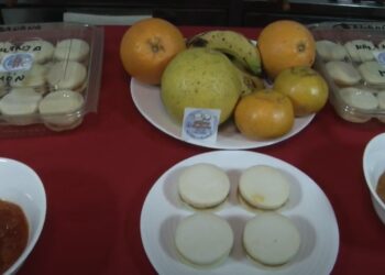 “Estilo en Plenitud”: Alfajores con mermeladas de frutas formoseñas