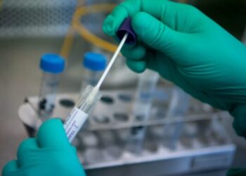 COVID-19: El reporte semanal cerró con un leve aumento de casos