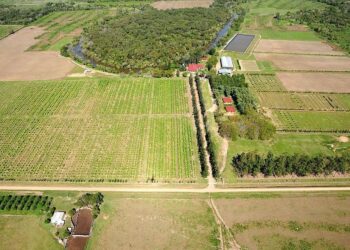 Hace 27 años fue inaugurado el primer CEDEVA, en Laguna Yema