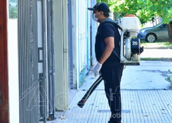 Las cifras de casos de dengue mostraron un nuevo descenso respecto de la anterior semana