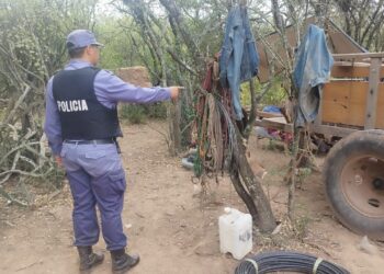 La Policía detuvo a uno de los cuatro acusados de matar a un yaguareté