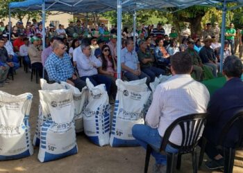 El Gobierno de Formosa y su política productiva sostienen al sector bananero