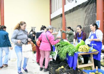 Buenas ventas en ferias del PAIPPA, en el último viernes de julio