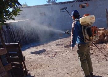 Pirané: Siguen las acciones contra el dengue en los barrios