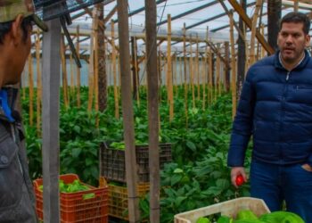 Desde el Ministerio de la Producción coordinan acciones para hacer frente a las bajas temperaturas