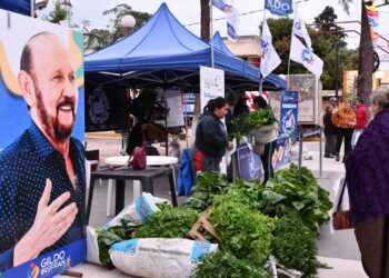 SAF en Ibarreta: El programa permitió el acceso a más de dos mil kilogramos de alimentos a precios accesibles