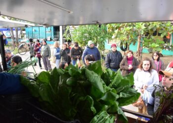Soberanía Alimentaria Formoseña comercializará alimentos frescos en el barrio Villa del Rosario