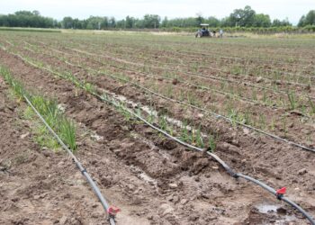 El Ministerio de la Producción participará de una expo nacional sobre agua en Mendoza