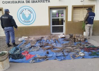 La Policía detuvo a uno de los cuatro acusados de matar a un yaguareté