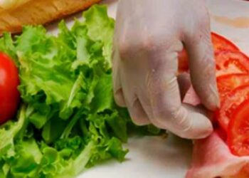 Una nueva edición del curso de manipulación segura de alimentos tendrá lugar el 10 y 11 de julio