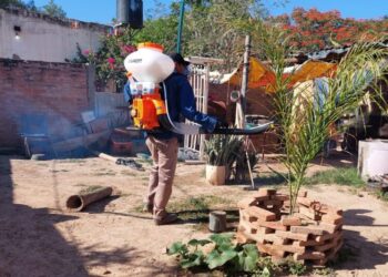 Dengue: Los casos se mantuvieron igual a la semana anterior