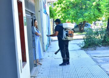 Dengue: Los casos contabilizados en los últimos días no presentaron variaciones respecto a la semana anterior