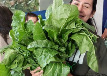 SAF tendrá ediciones en Formosa Capital y visitará dos localidades del interior provincial esta semana