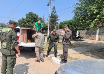 Se encuentra en Guaycolec el aguará guazú rescatado en Clorinda