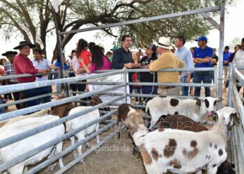 El Vicegobernador asistió a la segunda Expo Feria de Ganado Menor y Hortícola en Pozo del Tigre