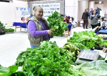 Las ferias paipperas, un clásico de todos los viernes en la ciudad capital