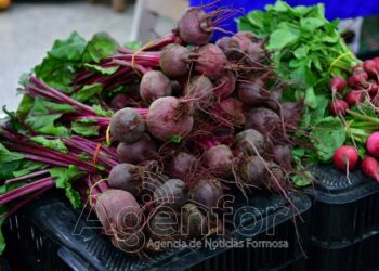 Otro viernes con buenas ventas en las ferias del PAIPPA