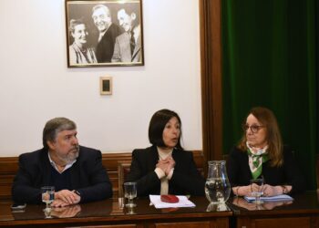 Desde el Interbloque de UP proponen declarar la emergencia productiva para las MiPymes