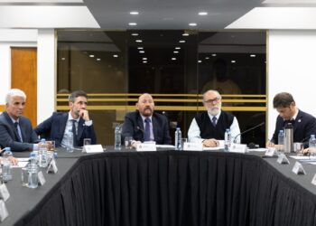 Insfrán presidió la elección de autoridades del CFI