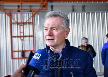 Antueno: “Se está haciendo más política para empresas del extranjero que para las nacionales”