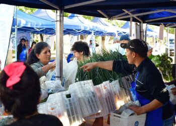Soberanía Alimentaria Formoseña desarrollará las últimas jornadas del año antes del receso