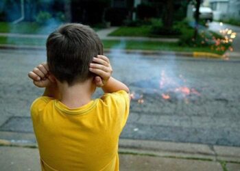 Solicitan a la comunidad respetar la pirotecnia sonora cero para proteger la salud de personas vulnerables y mascotas