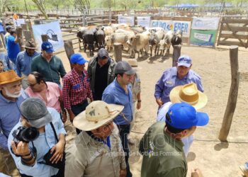 El vicegobernador Solís en feria ganadera: “Sin la mano del Estado, esto hubiera sido imposible”