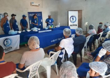 El área de Valor Agregado del PAIPPA ofreció una capacitación en el oeste formoseño