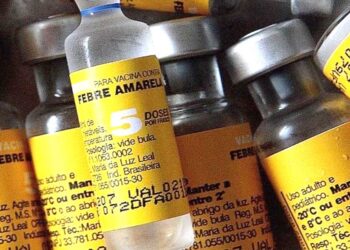 Recordaron sobre la vacunación contra la fiebre amarilla para viajeros