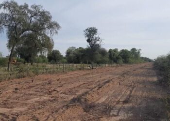 Laguna Yema: Inició obra de tendido eléctrico hasta El Cañón