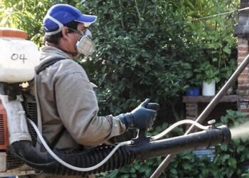 Dengue: El número de casos registrados en esta semana se mantuvo respecto del último reporte