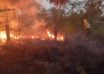 El Ministerio de la Producción brindó recomendaciones para evitar incendios forestales