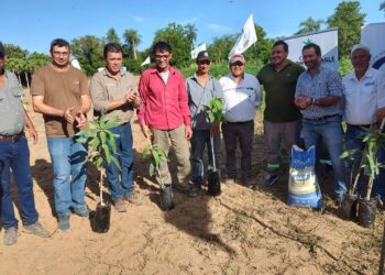 Jornadas técnicas sobre el cultivo de mango organizadas por el Gobierno de Formosa  