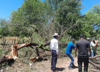 El Gobierno provincial brinda atención a familias tras el temporal en Estanislao del Campo