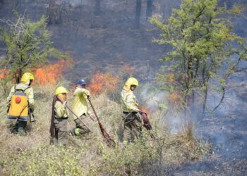 Bomberos trabajaron durante cinco horas para sofocar incendio de pastizales
