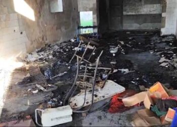 Un nuevo hecho de violencia se registró en el matadero municipal de Las Lomitas