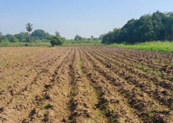 “El Gobierno de Formosa trabaja para adaptarse a las situaciones de inestabilidad climática”, afirmaron desde Producción