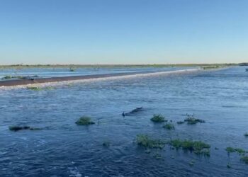 La obra hidrovial de la RP N° 28 permite “el aprovechamiento” de las aguas del Bañado La Estrella
