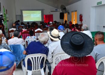 Casa de la Solidaridad: Los adultos mayores disfrutan de las tardes de cine
