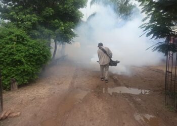 Esta semana se refuerzan las acciones contra el dengue en San Martín Dos
