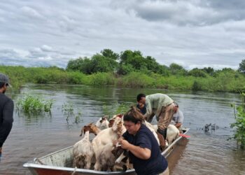 Integral asistencia de equipos técnicos del Ministerio de la Producción y Ambiente por crecida extraordinaria