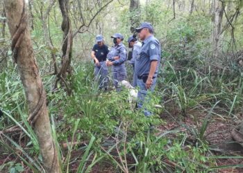 Una niña de cinco años fue hallada sin vida en la Colonia Weitzel