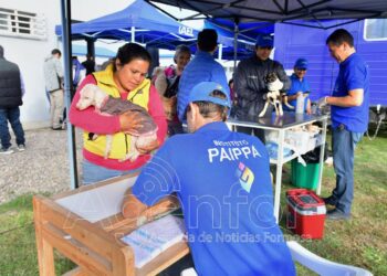 La clínica móvil brindó atención a mascotas en Las Lomitas