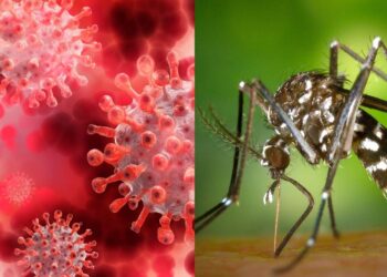 Dengue y COVID-19: Piden “no relajarse” y seguir cumpliendo las medidas preventivas