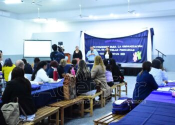 Educación concretó un nuevo encuentro de Orientaciones para la Organización Inicial en Escuelas Primarias