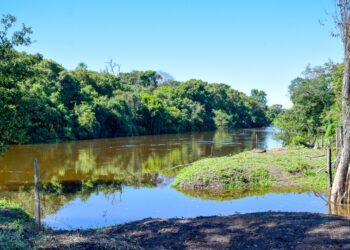 Caffa subrayó la “inmediata asistencia” ante la crecida del riacho Monte Lindo