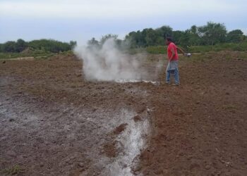 Recuperación y conservación de suelos para el desarrollo de las familias paipperas